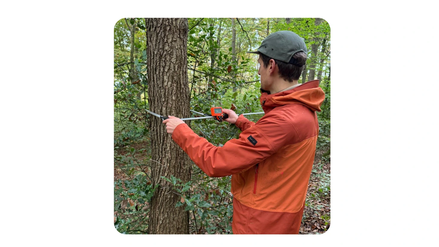 martelage compas forestier